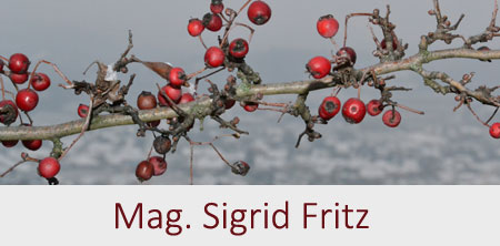 Mag. Sigrid Fritz